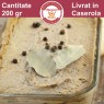 Comanda Pate de ficat de casă – 100% natural