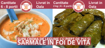 Meniu Supa Crema de Legume cu Piept de Pui si Sarmale in Foi de Vita
